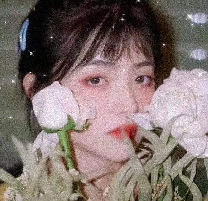 快乐的小鸡 高清封面