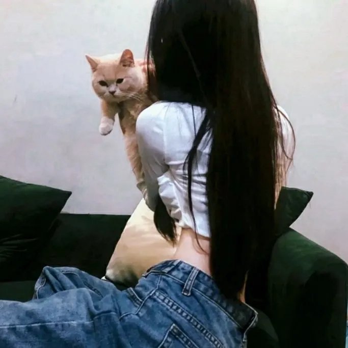 完美设陷 高清封面